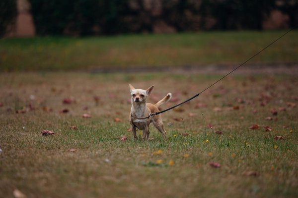 Essential Insights on Groundbreaking Developments You Can't Miss;147Must-See Headlines That Will Define This Year